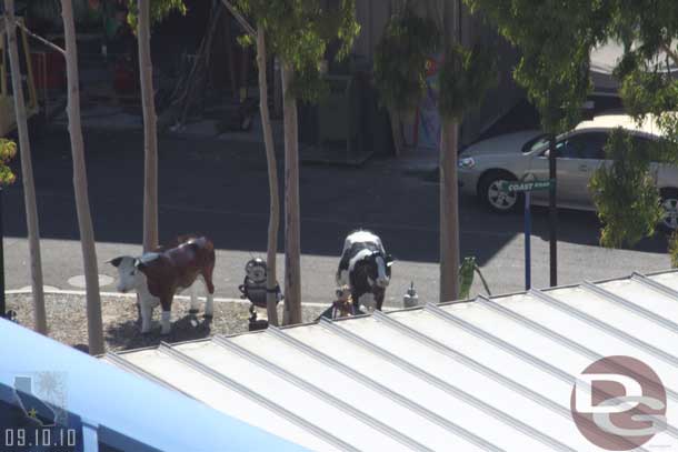 The farm characters are hanging out backstage right now.  Wonder if they will be relocated to the new farm area or if they are just waiting to be taken away.