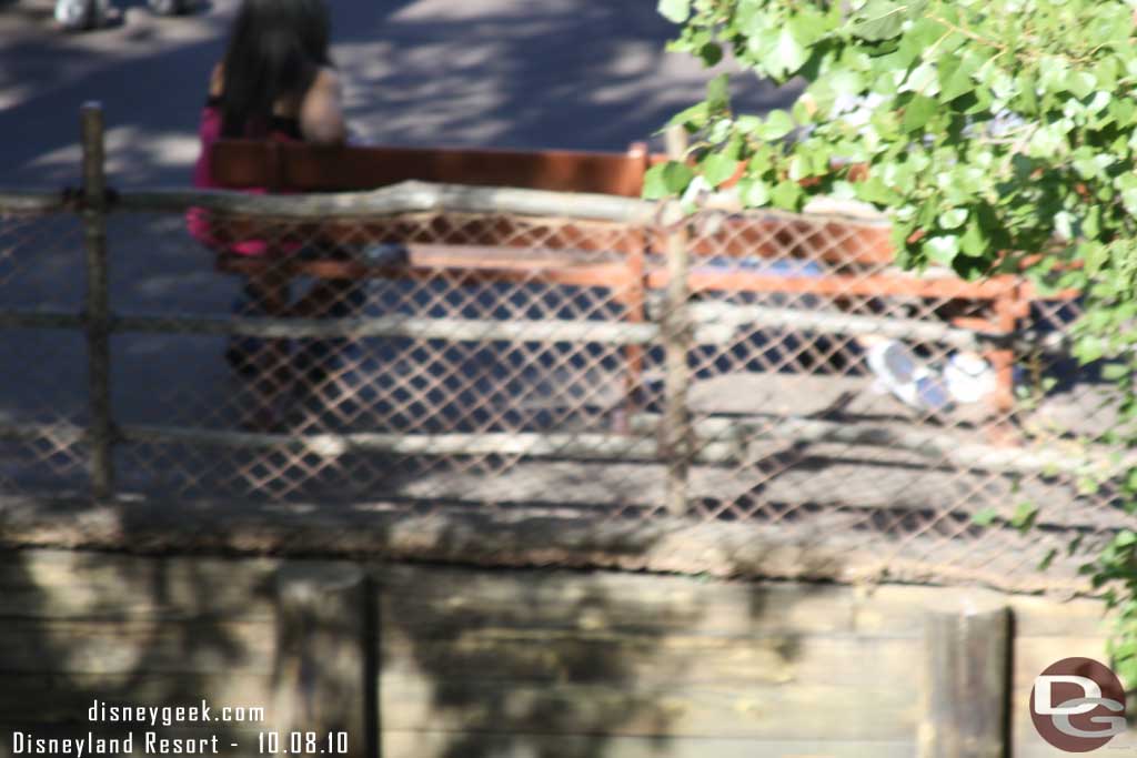 Sorry for the blurry shot, but the only usable one I had.  They have added netting to the rail along the Rivers of America, where they green tarp was near the Big Thunder exit.