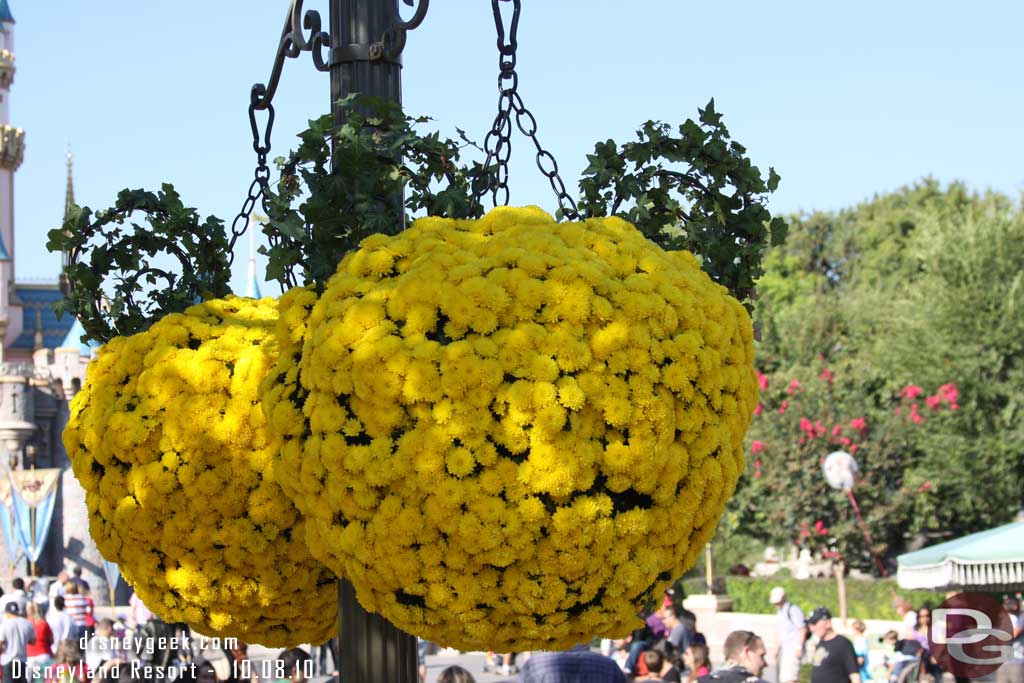 On Main Street some new plants (the old ones were orange).