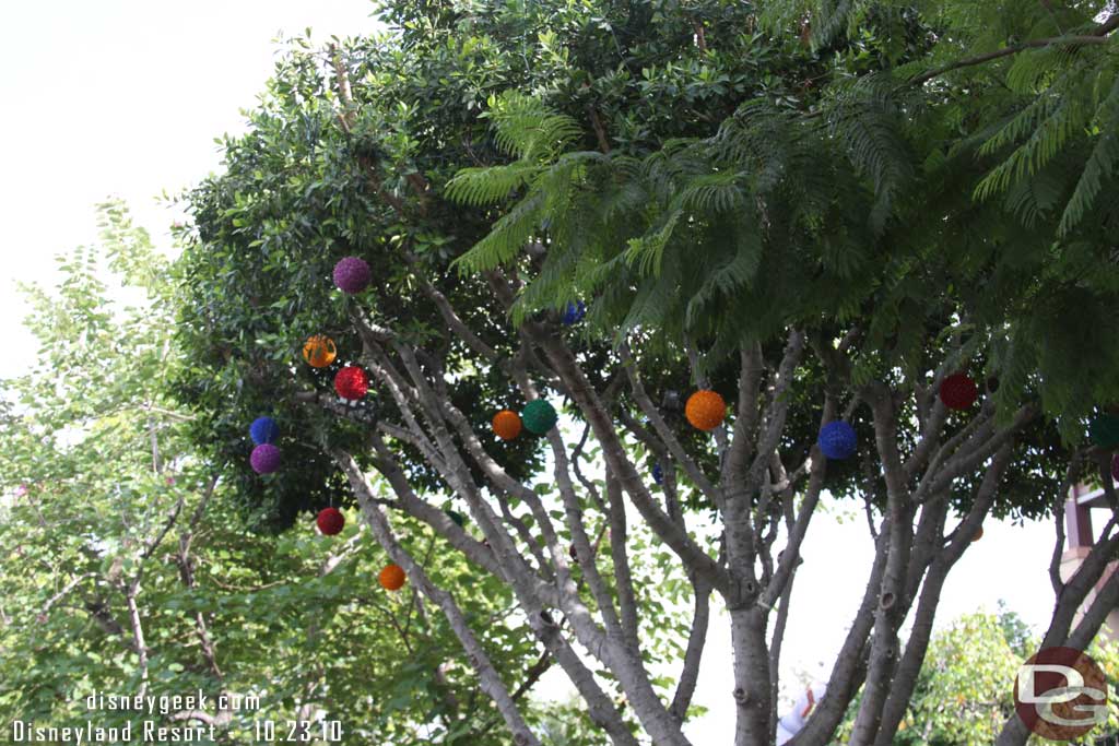 In Downtown Disney looks like the Christmas lights are going up in the trees.