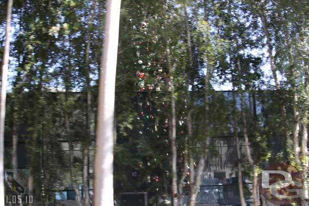 The Christmas tree is set up backstage and ready to be moved to Main Street this week.