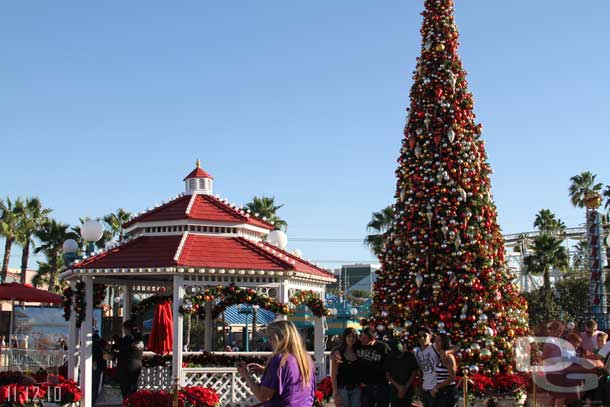 Santas photo spot.