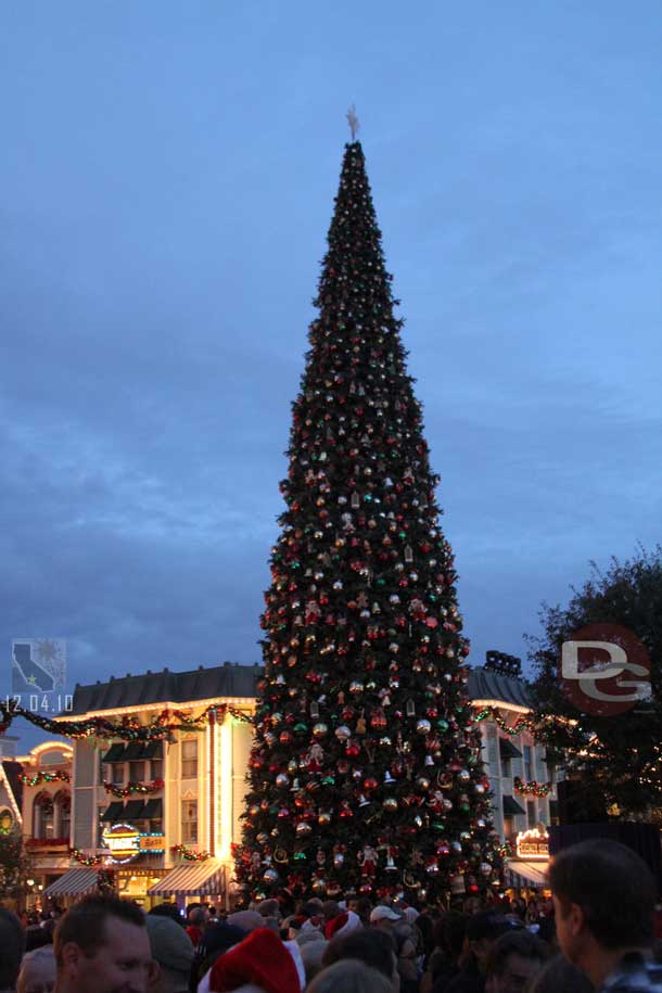 The tree lighting moment.