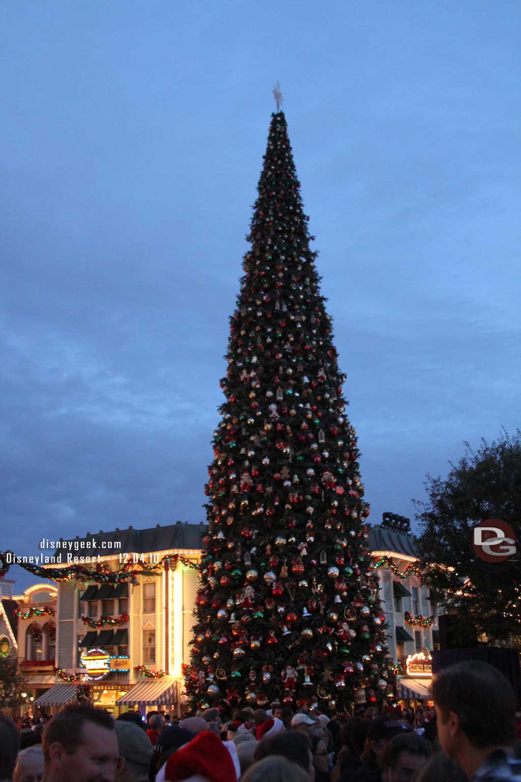 The tree lighting moment.