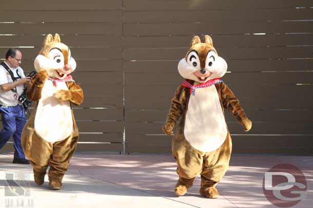 Chip and Dale coming out for some pictures.