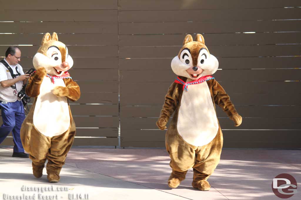 Chip and Dale coming out for some pictures.