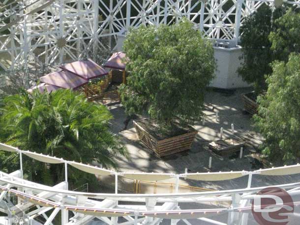 Trees are in the crates at the old Maliboomer site.