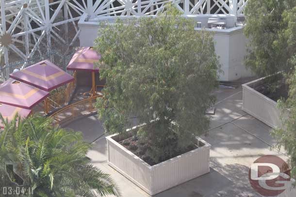 Looking down at the park looks like the trees in crates will be staying that way.  Just like the new Meet and Greet by Ariels.  Things seem to be moving slowly.