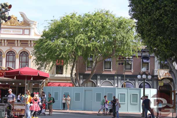 The walls are still up around the trees near the Opera House (also notice Minnie out for a walk)