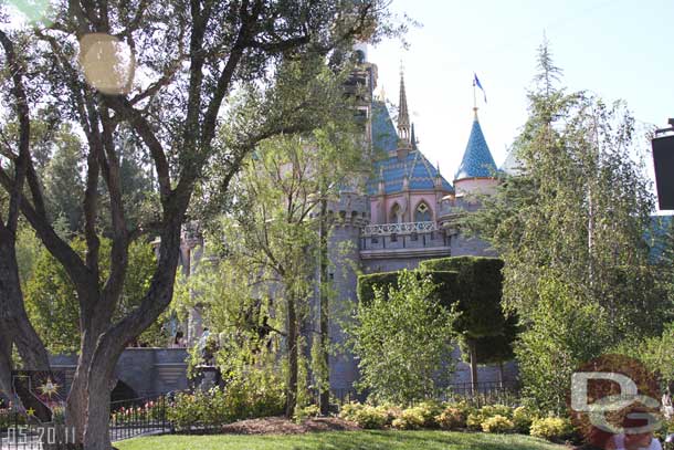 Is that a new tree on the left?  The area looked different to me and there was fresh ground cover so it may be new or at least trimmed differently... or it could just be me after spending a week at WDW things look different.