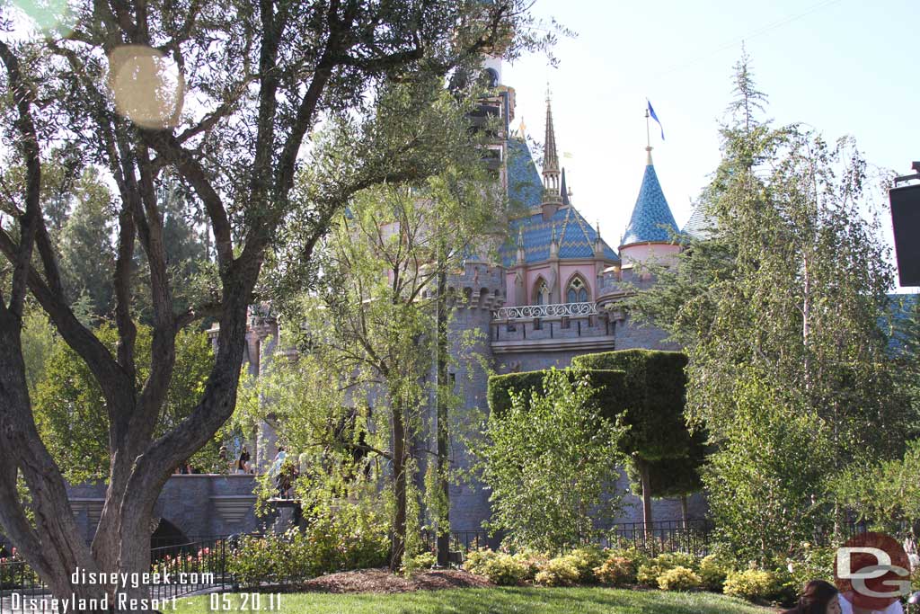 Is that a new tree on the left?  The area looked different to me and there was fresh ground cover so it may be new or at least trimmed differently... or it could just be me after spending a week at WDW things look different.