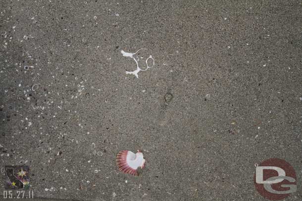 Do not forget to look down, the concrete has seashells in it.