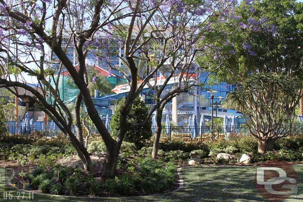 Discovered it was a challenge to get a clear shot of the pool with trees, poles, fences in the way.