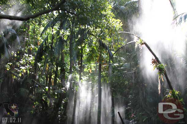 The water on the Jungle Cruise was really turned up this morning.