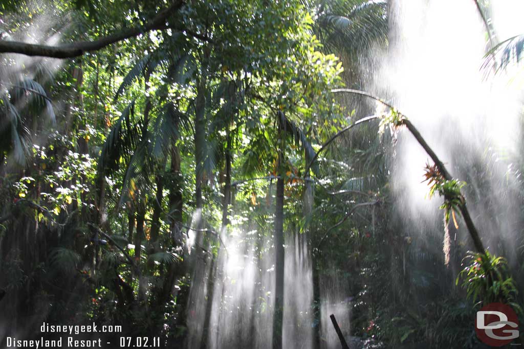 The water on the Jungle Cruise was really turned up this morning.