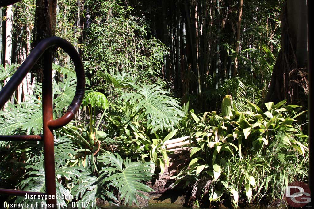 One of the elephants is still backstage being worked on.  (Funny how the Skipper referenced it hiding in the Jungle.. many on our boat did not get it since they seemed to be tourists).