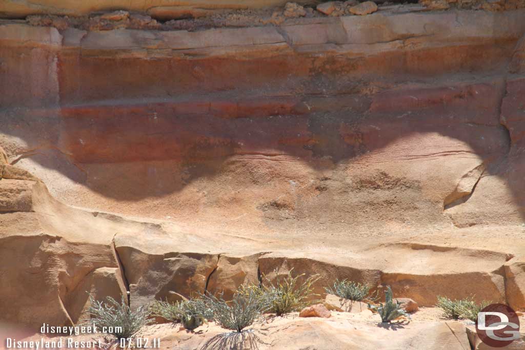 A closer look at the plants.