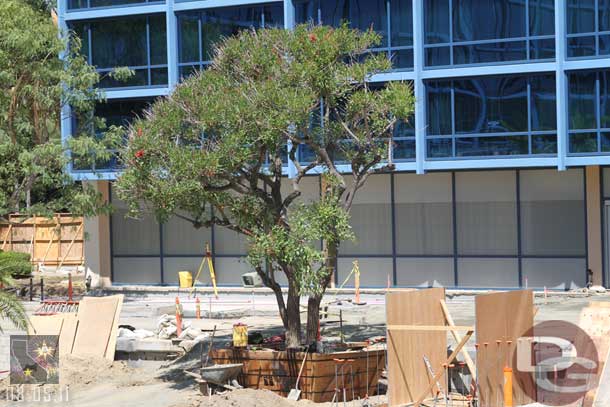 Trees being moved around.  Also what looks to be entrance stairs or a walkway going in to the right of it.