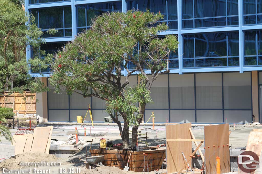 Trees being moved around.  Also what looks to be entrance stairs or a walkway going in to the right of it.