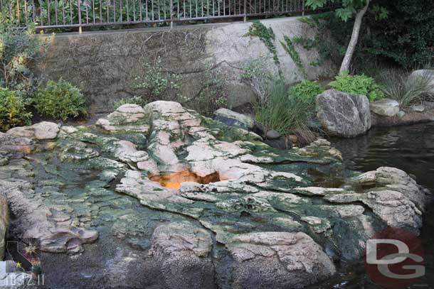 The geyser area is looking rather green..