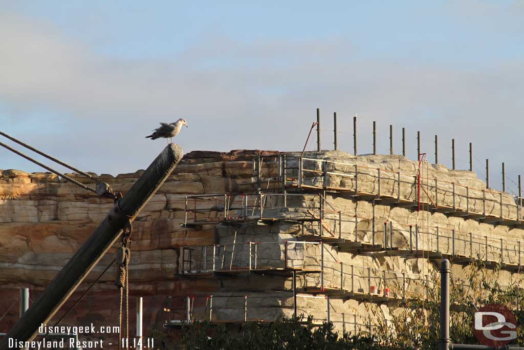 More Cars Land shots from Ground Level