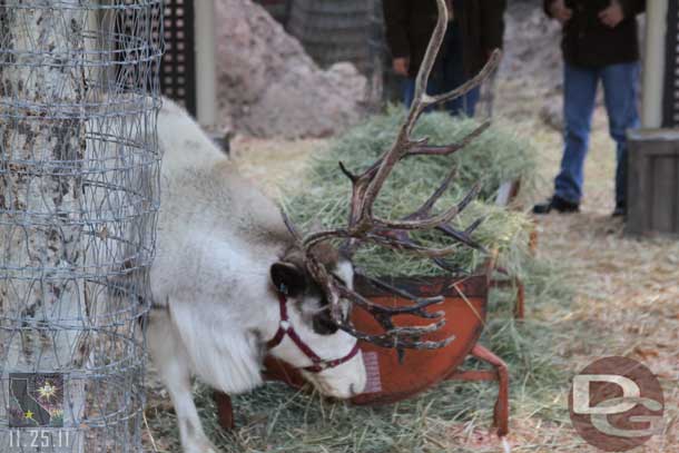 Next stop the Reindeer Roundup.