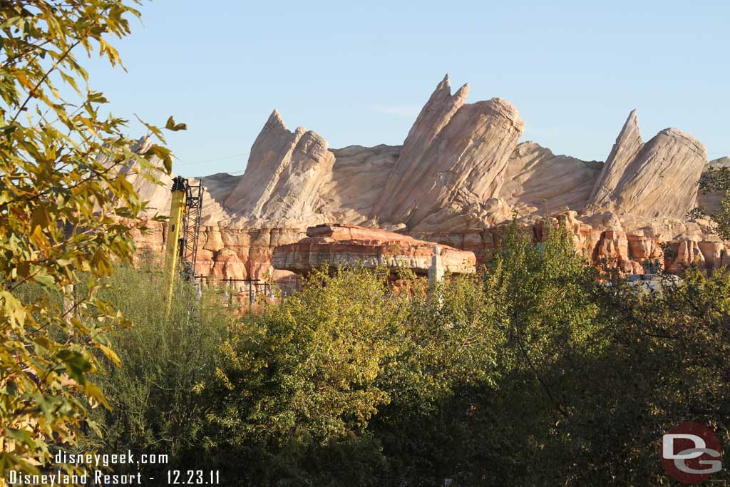 Wow that is a lot of trees now as you look into Cars Land.