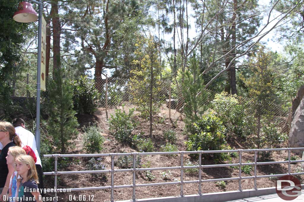 This area has been replanted.  And the fence seems to be much more visible.