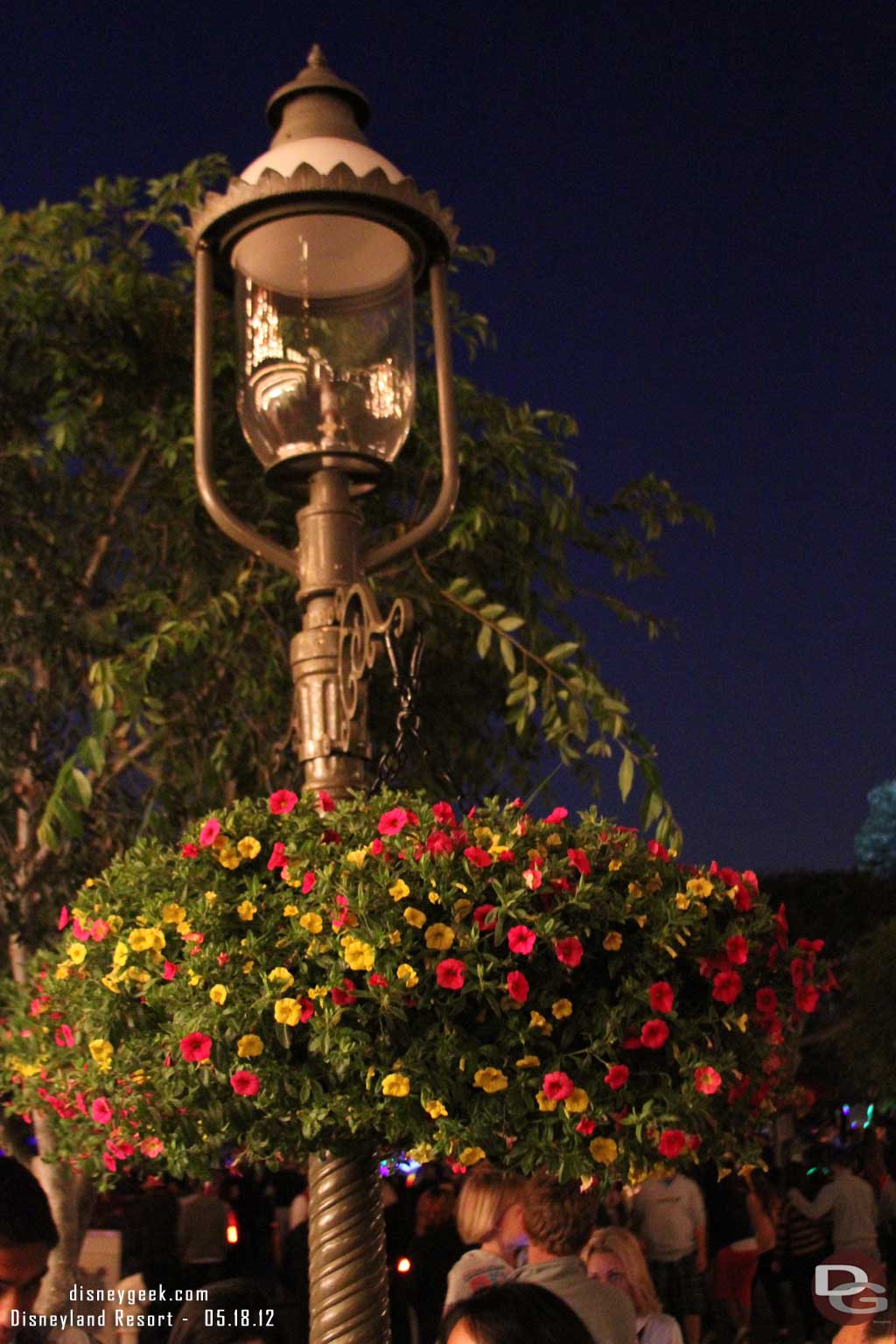 Noticed this lamp was out on Main Street.