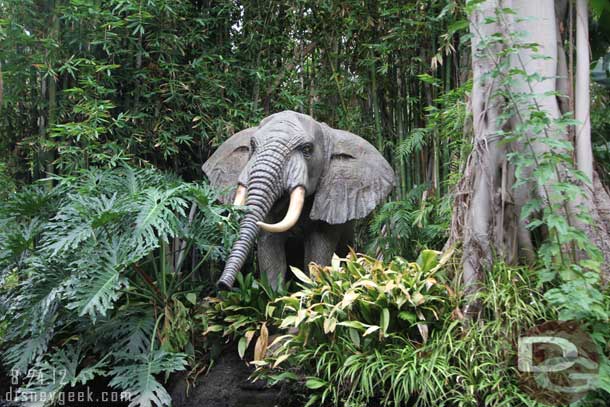 Not sure if I been on since the return, but both elephants are back now.