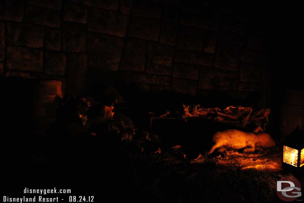 Noticed the pirate that is usually laying with the pigs was not out today.