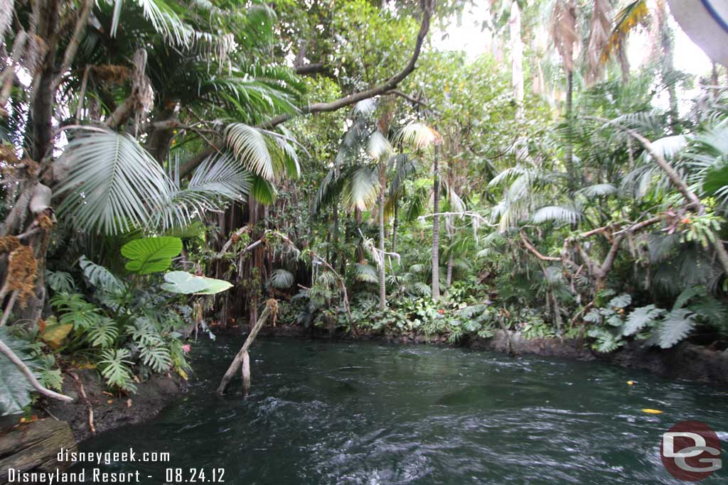 The rain effect was not working, but the skipper had a good line.  In the rain forest it rains 365 days a year.. this is leap year so today is the day off...