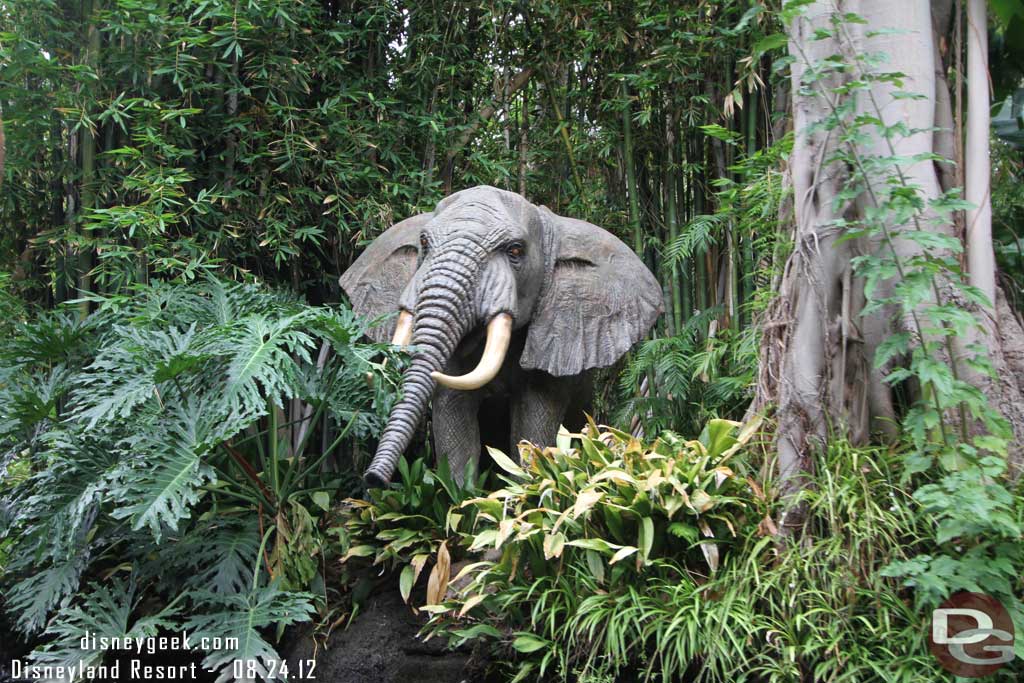 Not sure if I been on since the return, but both elephants are back now.