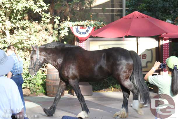 And parade of the horse.