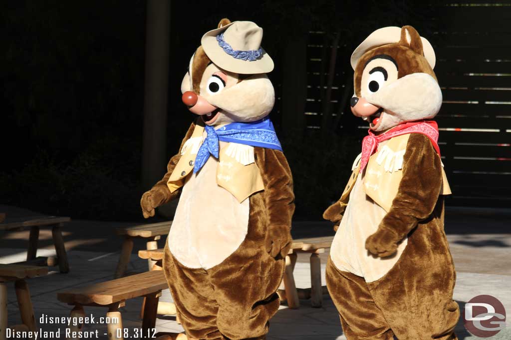 Chip and Dale came out next.