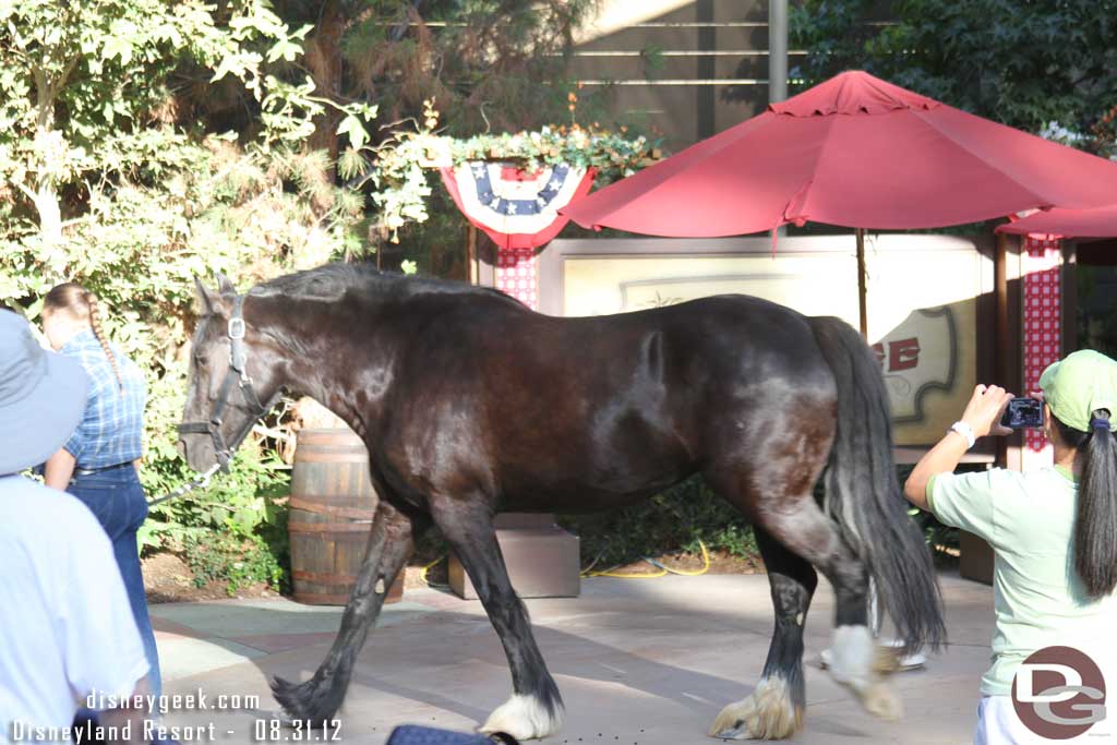 And parade of the horse.