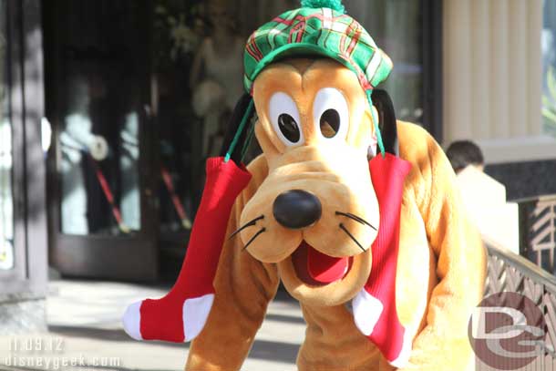 Pluto with his holiday gear on.