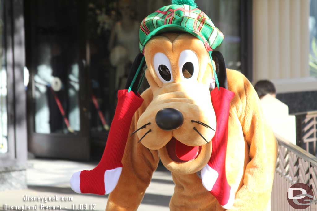 Pluto with his holiday gear on.