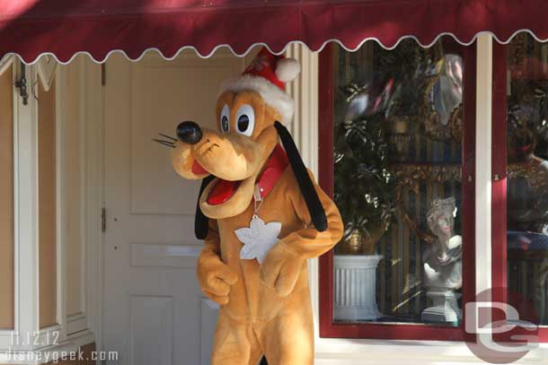 Pluto with his star and hat for the season.