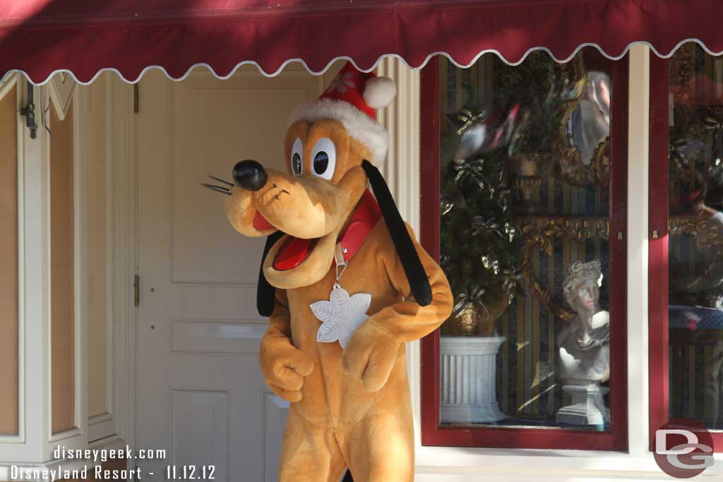 Pluto with his star and hat for the season.