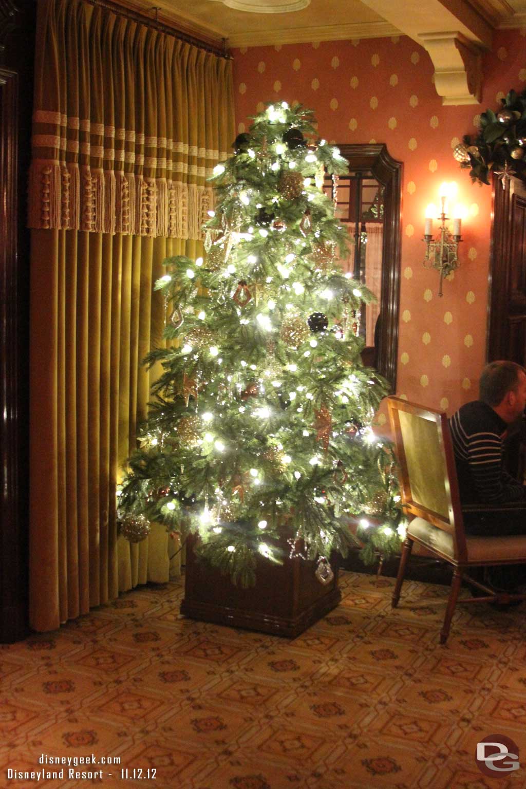 A tree in the lounge.