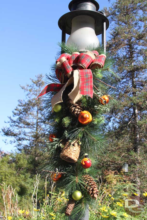 Walked out to Critter Country since I had not been out there this holiday season yet.