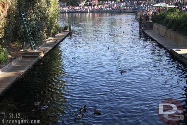 The ducks were heading to the harbor...