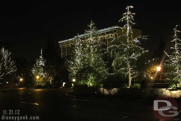 Lights in the trees out front.