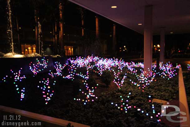 The front of the hotel has all these lights in the planters, it looks great, the pictures really do not do it justice.