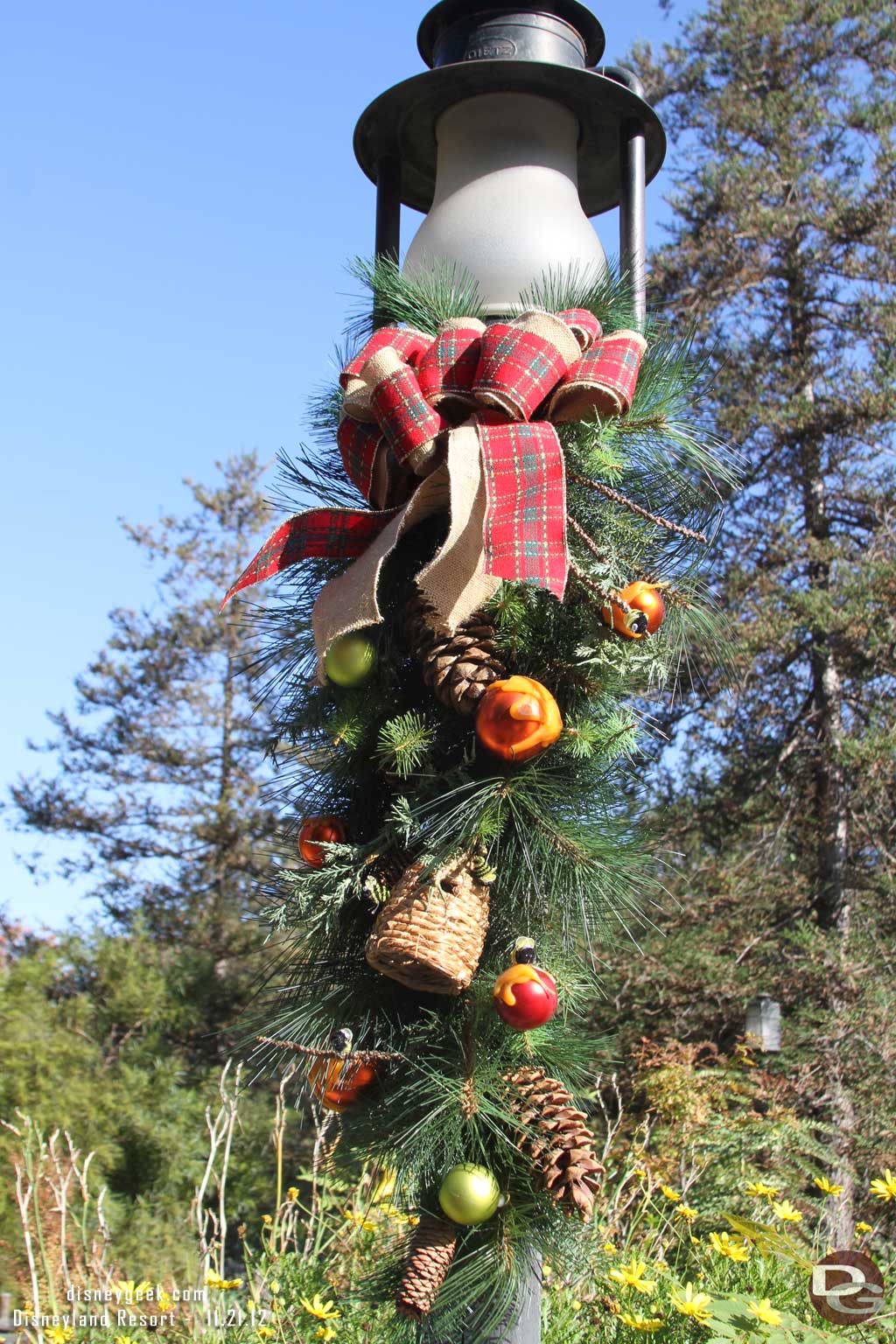 Walked out to Critter Country since I had not been out there this holiday season yet.