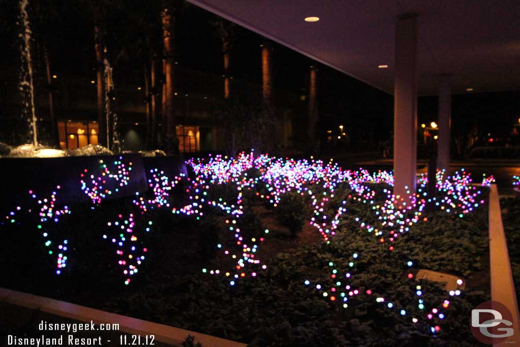 The front of the hotel has all these lights in the planters, it looks great, the pictures really do not do it justice.