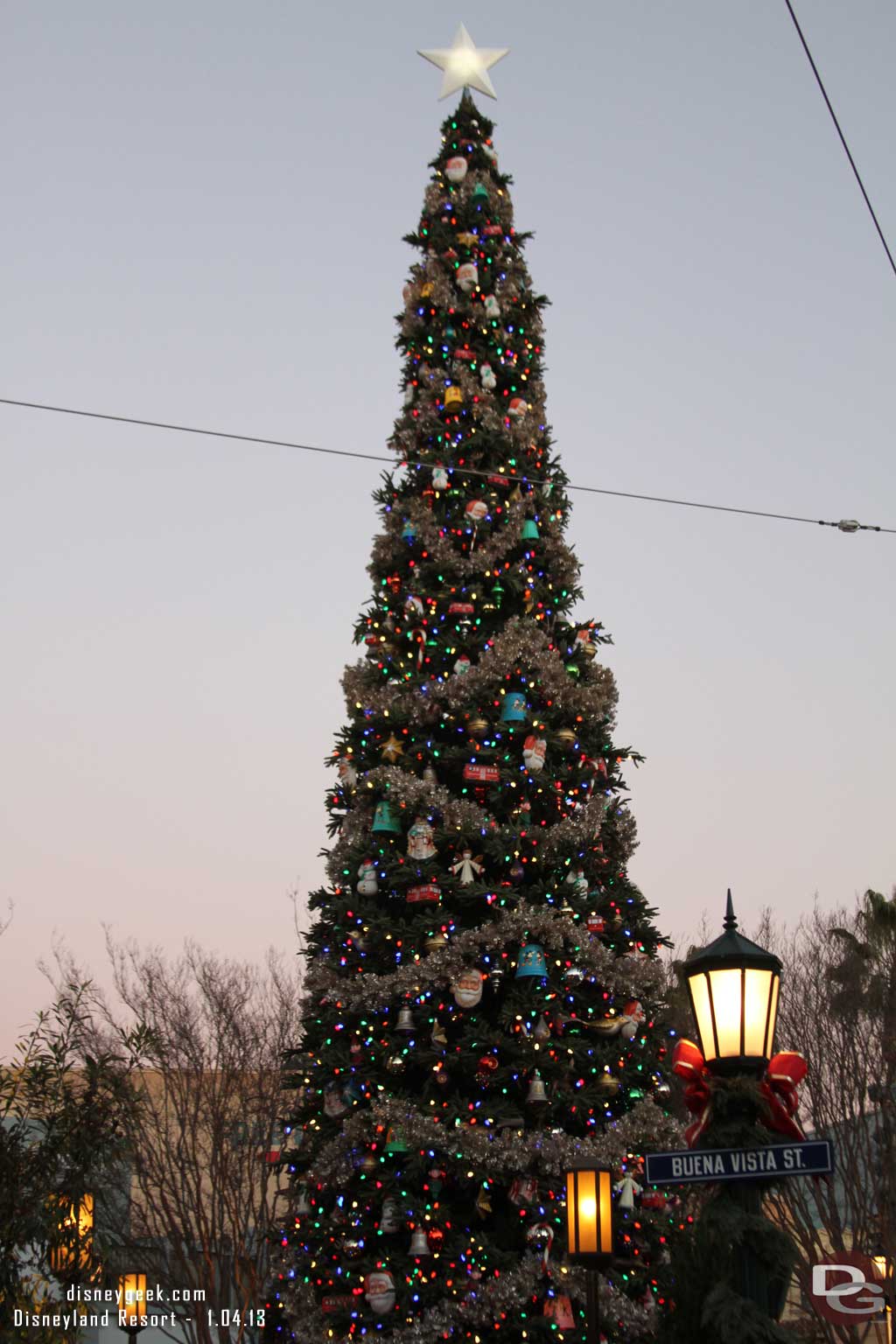 Missed the tree lighting since the Cars lights came on so late.