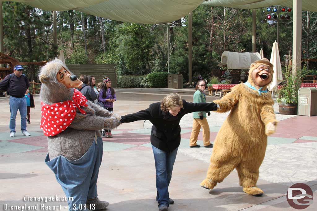 Due to the quiet afternoon the bears were very playful.