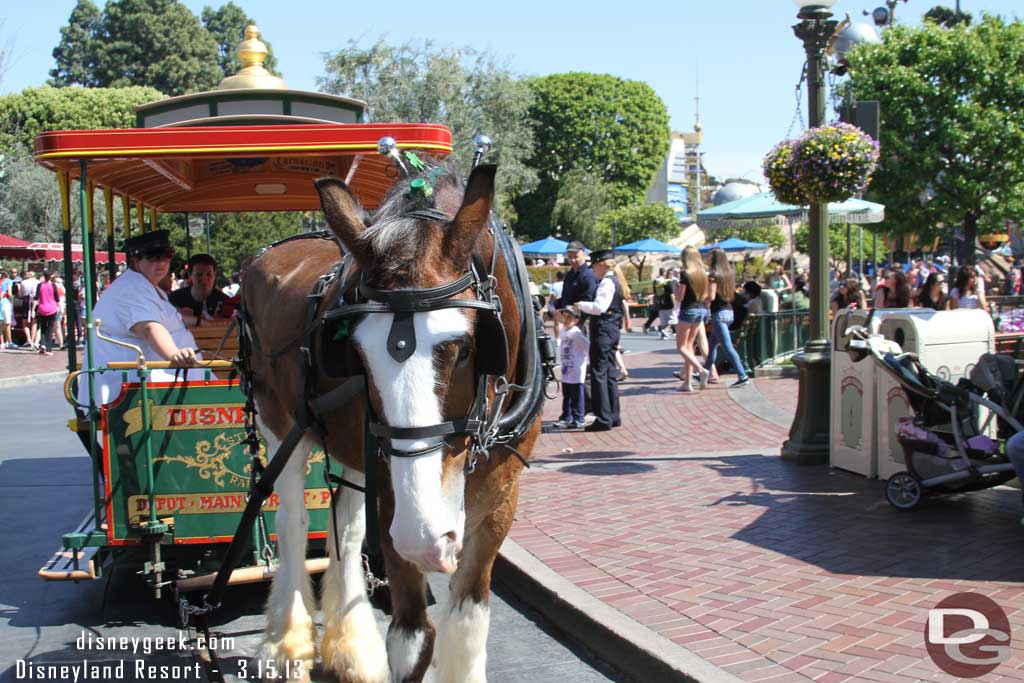 This horse (I missed his name) is dressed up for St. Patricks day.